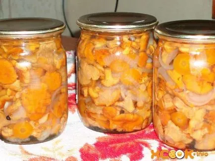 Chanterelles conservate - o reteta delicioasa cu o fotografie ciuperci conserve pentru iarna