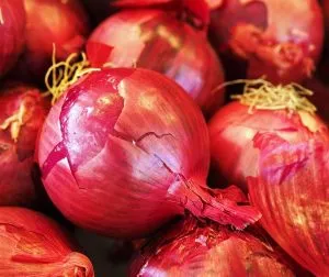 Onion кора и неговите полезни свойства