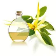 Ylang-Ylang pentru persoanele care aplică metode decât comentarii utile