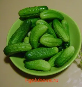 Pickles (egy egyszerű recept, nagyon finom), a ház, a kert, a veteményeskert, egy gyönyörű virágos kert