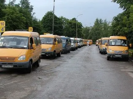 Microbuz de afaceri de transport taxi