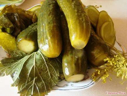 castraveți sărați cu muștar - idei culinare din elenka_v - acasă Mamele