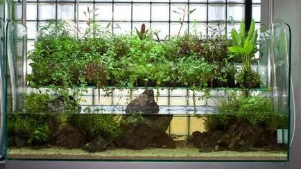 Mesterkurzus florarium saját kezűleg