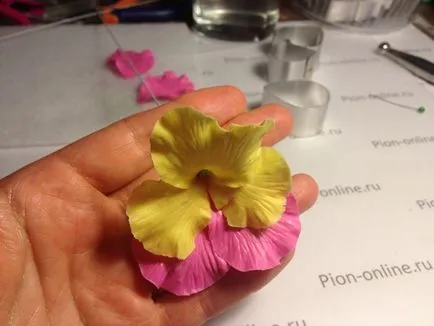 Master class privind modelarea flori de polimer - pansea