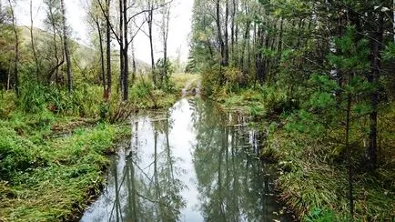 Suntem împreună pentru viață, off-road stil