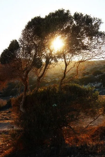 Cape Greco - популярна туристическа атракция в Кипър