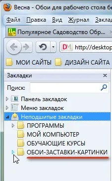 Настройки на браузъра Mozilla Firefox 3