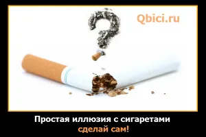 Намерете котката на снимката с колата, интересни факти, всеки ден!