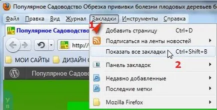 A böngésző beállításai Mozilla Firefox 3