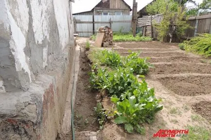 Германците в градината