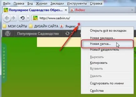 Настройки на браузъра Mozilla Firefox 3