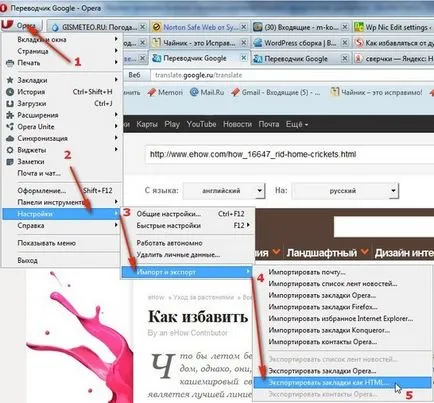 Setări de browser mozilla firefox 3