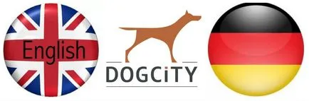 Szabályozási képzés - Partners Club dogcity