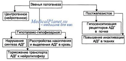 Diabetes insipidus okai, klinikai