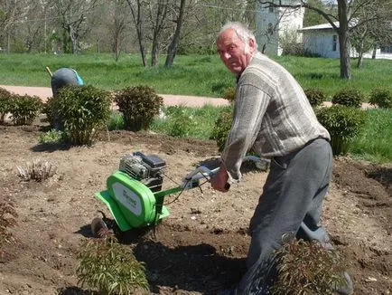 Muszáj, hogy ásni a talajt a tavaszi vagy őszi szakértői válaszok