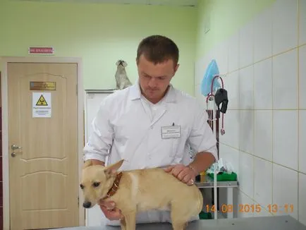 Ogbu - Eletskaya stație de oraș pentru a lupta împotriva bolilor animalelor