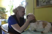 Kutyakozmetika meg Kolomna