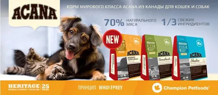 hrană uscată pentru câini, animale de companie on-line magazin zoograd