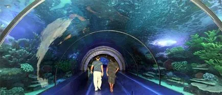 Oceanarium Antalya (akvárium), ahol térkép, ár, fotó, videó