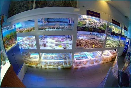 Oceanarium в чисти езера адрес, отзиви официалния сайт