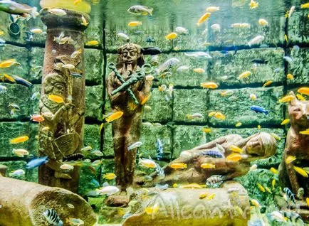 Oceanarium în Antalya