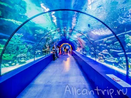 Oceanarium în Antalya