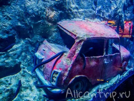 Oceanarium în Antalya