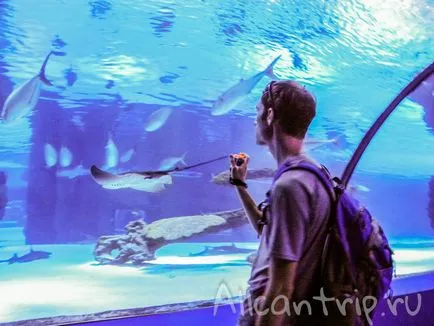 Oceanarium în Antalya