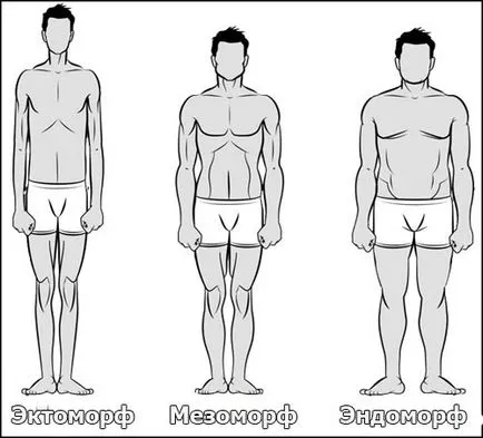 Descrierea și metodele de determinare a corpului la bărbați