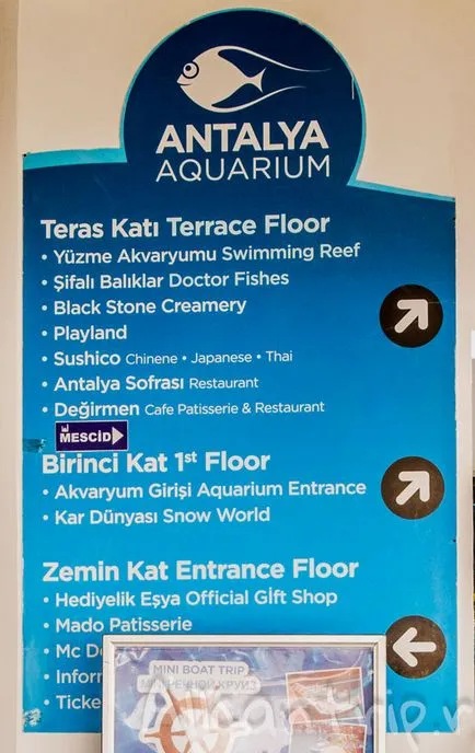 Oceanarium în Antalya