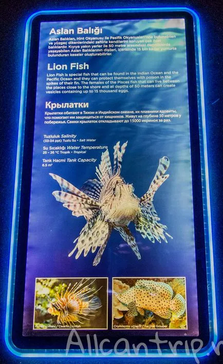 Oceanarium în Antalya