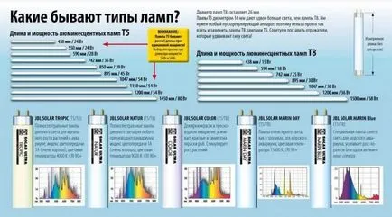 осветление аквариум