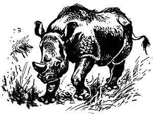 Az állatok védelme a természetvédelmi - Gyermek Encyclopedia (első kiadás)