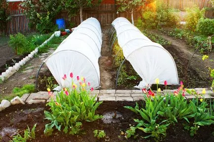 Зимни градини за покриване материали с дъги Leroy Merlin, оранжерии парникови с ръцете си, как да се оправи