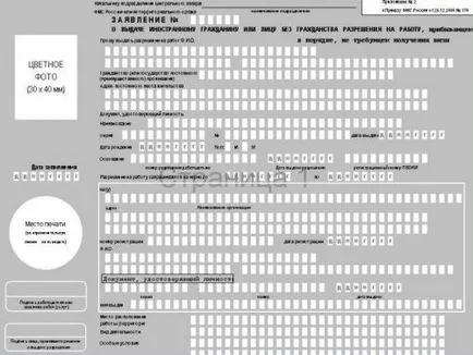 Szabadalmi és munkavállalási engedélyek