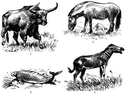 Защита на животните в природни резервати - Детска Енциклопедия (първо издание)