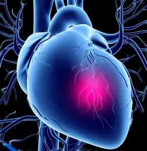 Megszakítások a kezelés a szív -, ha otthon beteg - cikkek Directory - Hasznos tippek az otthoni