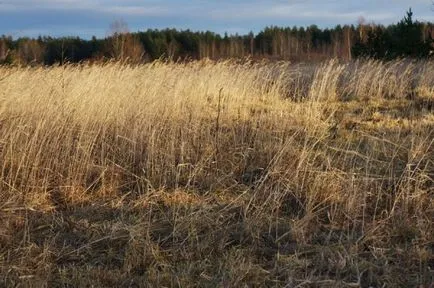 Преместване в селото - от къде да започна