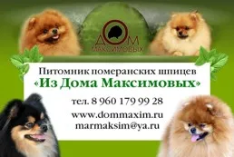 Kennel kutyák, kutya Nyizsnyij Novgorod portál esemény - 3. rész