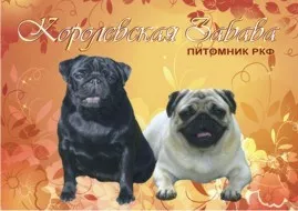 Kennel kutyák, kutya Nyizsnyij Novgorod portál esemény - 3. rész