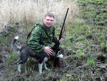 Szibériai husky kennel sarki éjszaka