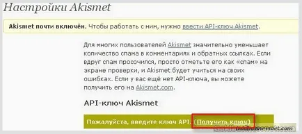 Us wordpress bővítmény API kulcsot és Akismet Akismet a spam ellen, weboldal fejlesztés és kereset