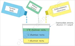 Тестът под тапетите Как да премахнете гъбички