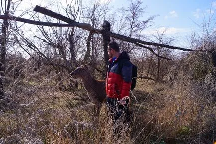 O excursie la pădure Alexander