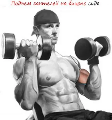 Emelő súlyzók bicepsz ülve