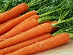 Поливане морков открито рационални методи, цени за напояване, честотата на