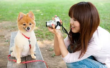 Полезни съвети от професионални фотографи любители фотографи, споделят съвети