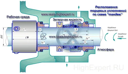 dispunerea etanșărilor mecanice duble