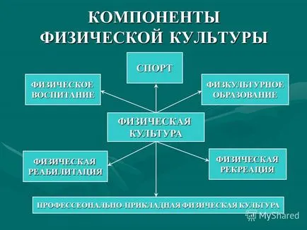 Презентация на тема физическо възпитание в гимназията - компонентите на физическата култура