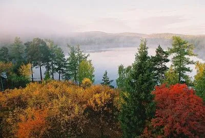 Natura, plante și animale din regiunea Chelyabinsk